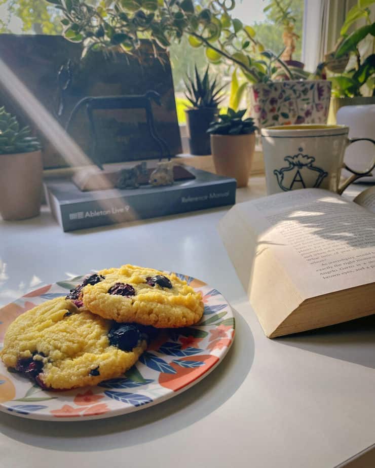A shot of two blueberry corn cookies on my desk with what appears to be a light shining down from the heavens highlighting the cookies. A host of plants, my coffee mug and my book are blurred in the background.