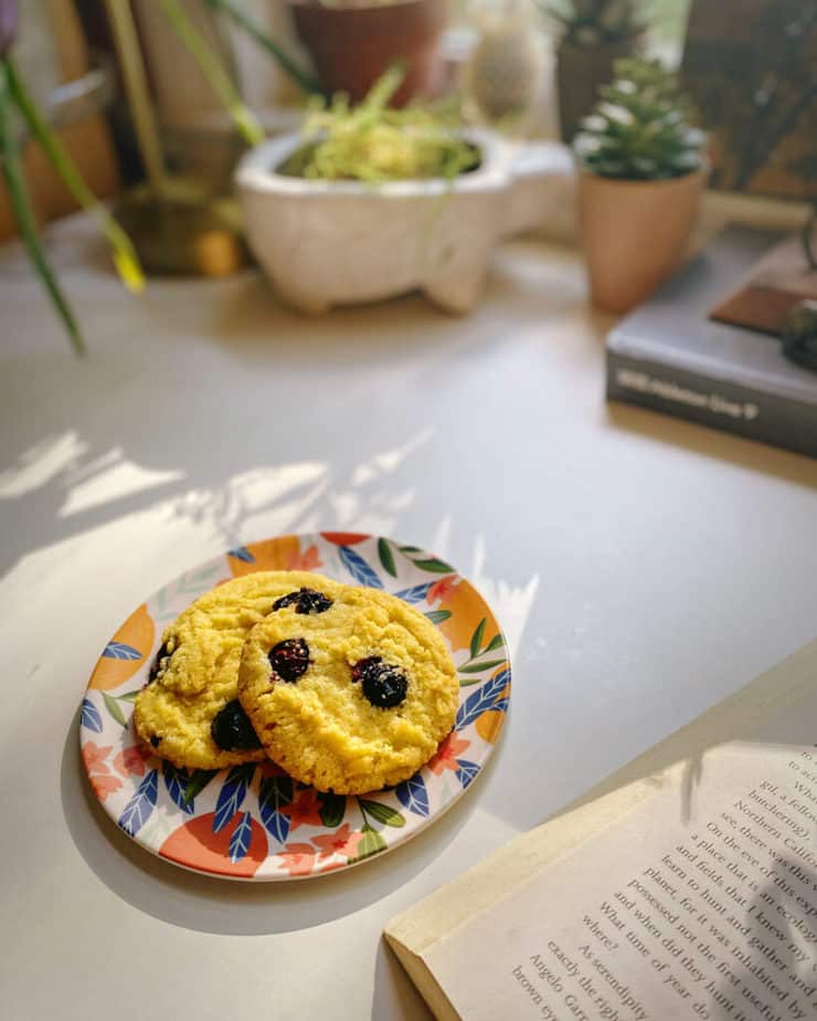 Final shot of two blueberry corn cookies on a floral plate on my desk shot in the opposite direction. Shadows from my plants decorate the surface.
