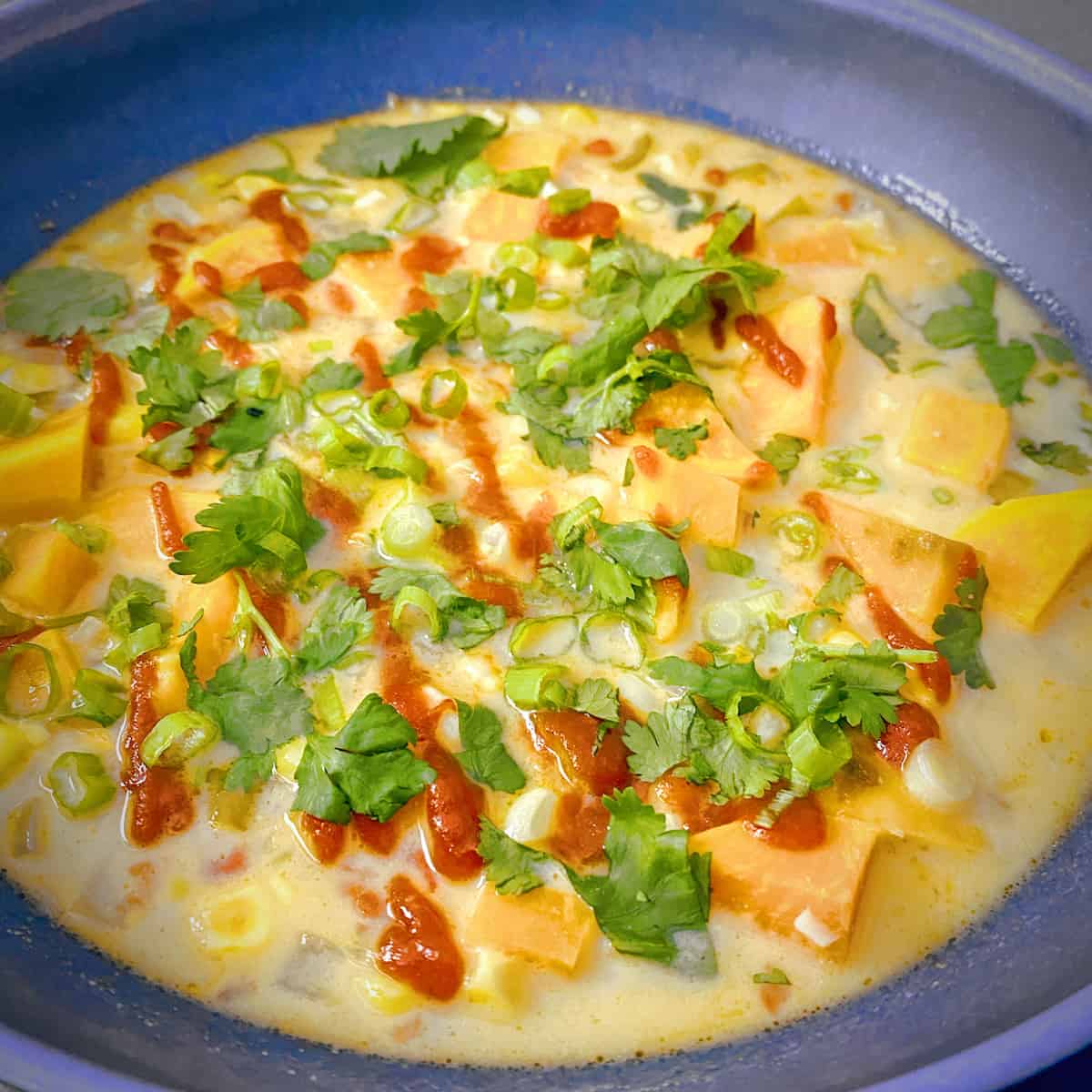 Chicken Tortilla Soup Recipe - Two Peas & Their Pod