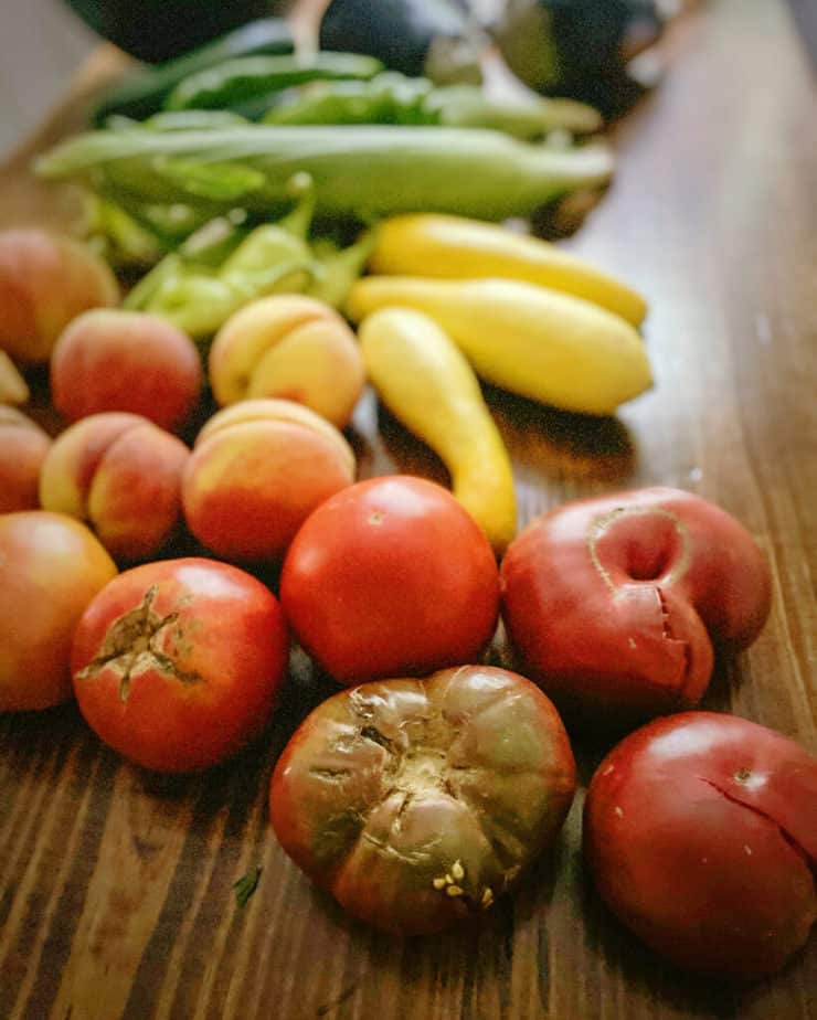 A reverse shot of my farmer's market haul, starting with tomatoes, followed by peaches, summer squash, mesilla peppers and corn, zucchini, eggplant and blackberries