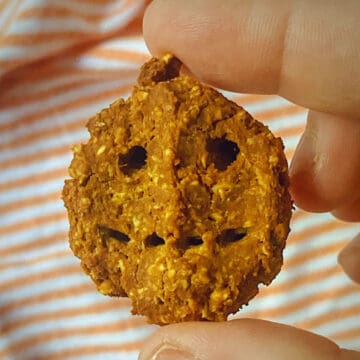 closeup shot of homemade pumpkin peanut dog treat shaped like a jack o lantern.