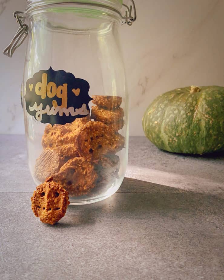 Glass jar with turquoise colored weck style hinge lid filled with homemade pumpkin peanut dog treats, labelled as "dog yums." one of the treats is leaning up against the glass to show jackolantern detail, and a large green winter squash is in the background