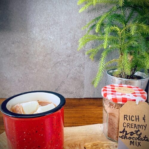 homemade hot chocolate with homemade marshmallows in a red mug with a mason jar of homemade hot chocolate mix that has a red and white gingham lid and a small potted evergreen tree in the background