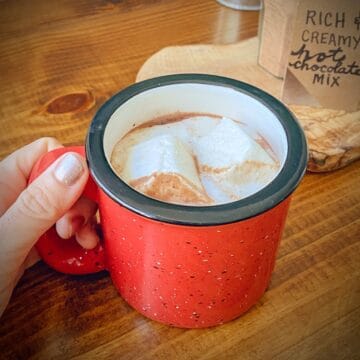 hand holding red enamel mug of hot chocolate with marshmallows.