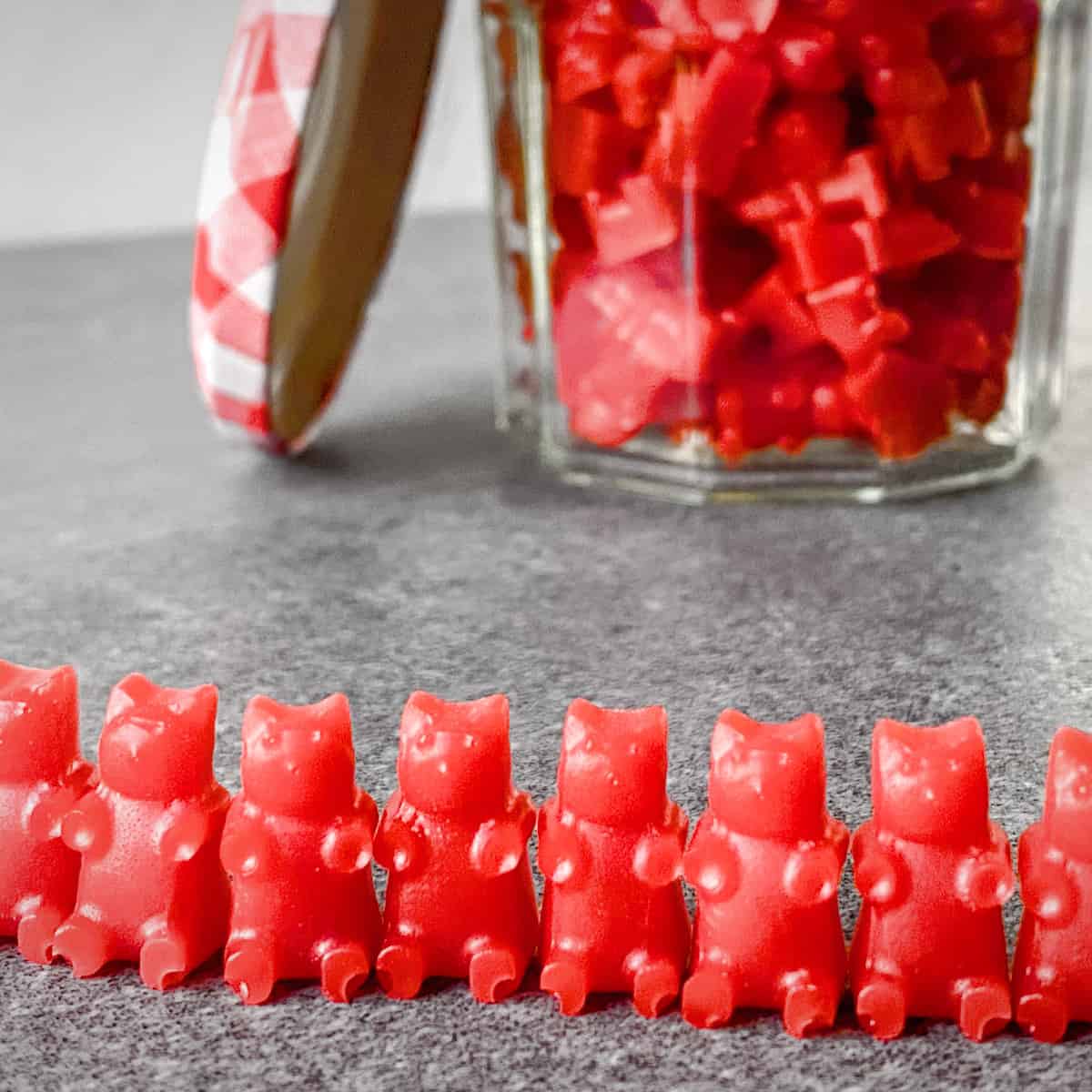 Shop Gummy Molds, Droppers + Flavors for Making Gummies at Home