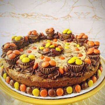 peanut butter chocolate chip cookie cake decorated with peanut butter chocolate buttercream and various reese's candies