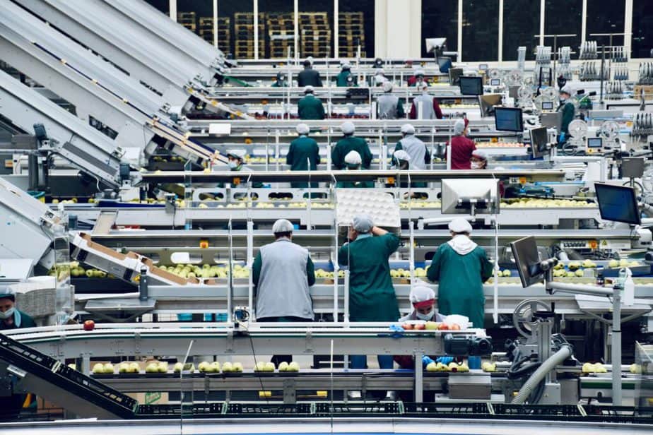 fruit processing facility with workers on a line.