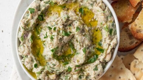 https://confessionsofagroceryaddict.com/wp-content/uploads/2023/01/Healthy-no-mayo-tuna-dip-hero-2-480x270.jpg