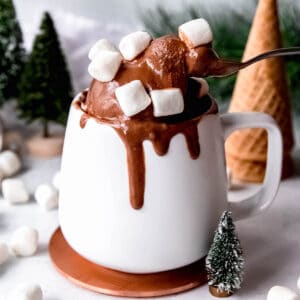 square hero image of a mug of chocolate marshmallow ice cream served to look like hot chocolate.