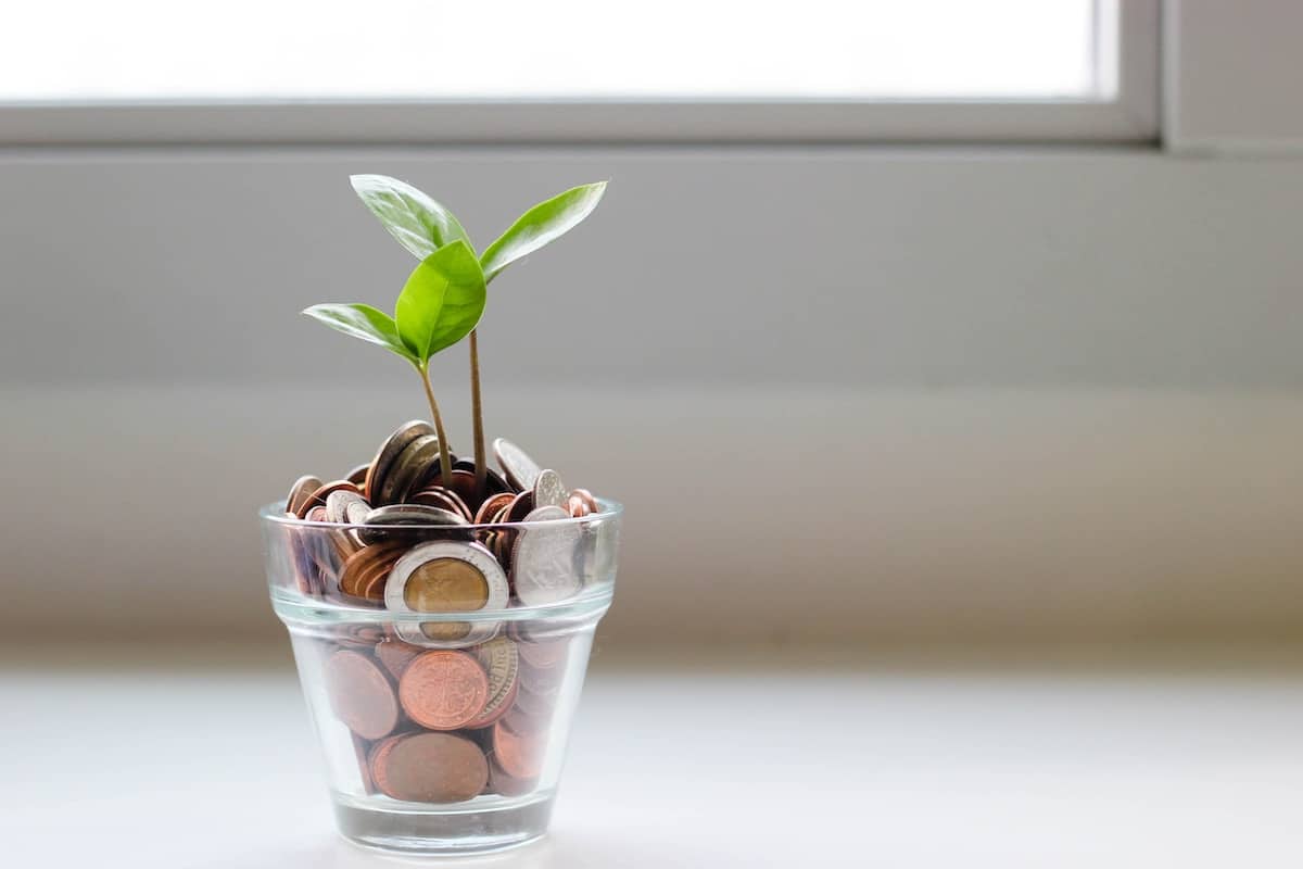 small glass with coins and a sapling tree growing out of it.