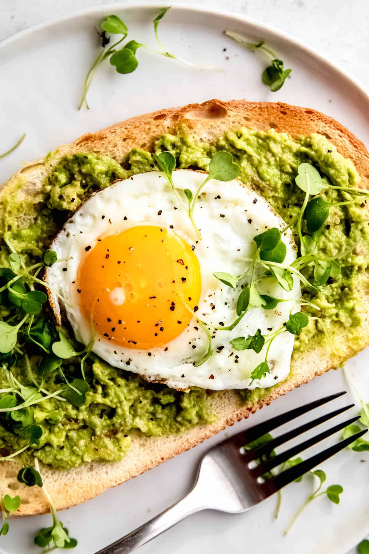 close up overhead shot of an avocado egg tartine garnished with microgreens.