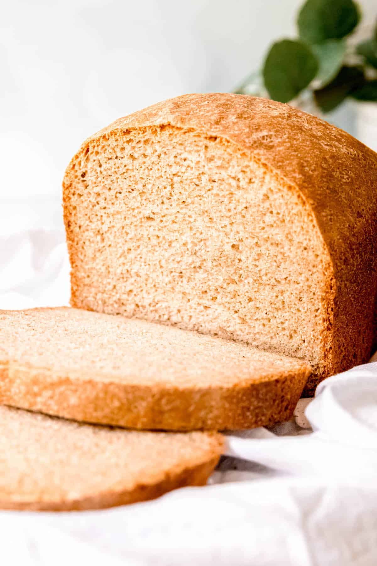 sourdough discard bread loaf with a few slices tipping forward exposing the soft crumb inside with a blurred out green plant in the background.