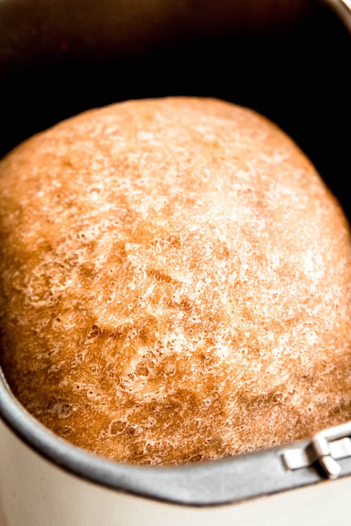 golden brown sourdough bread machine bread in the bread maker insert after baking.