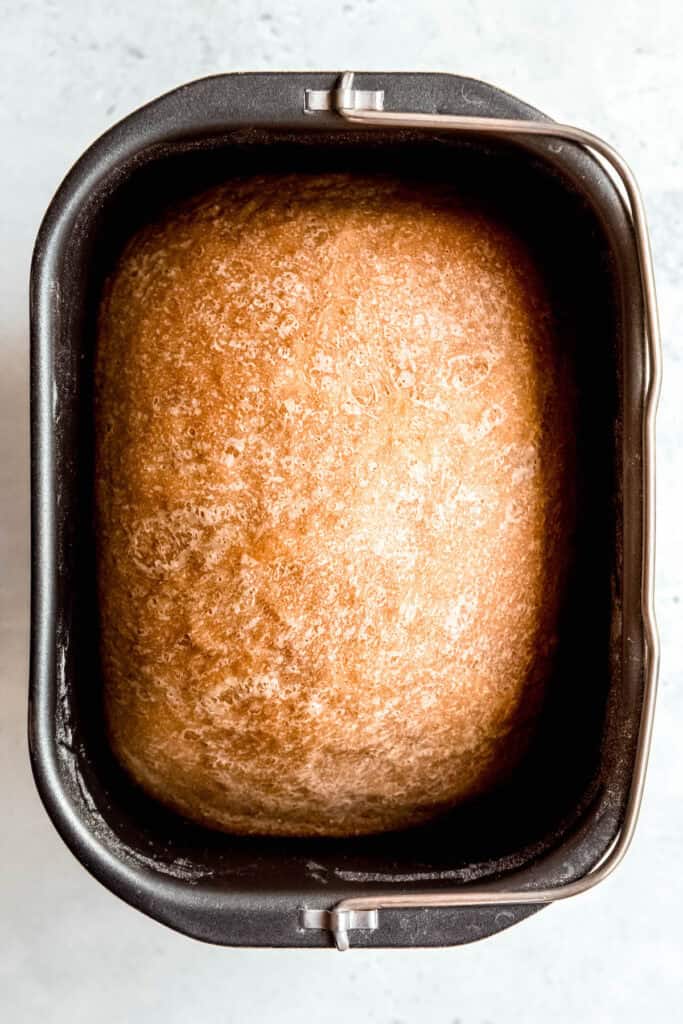 sourdough discard sandwich bread in the bread machine after baking.