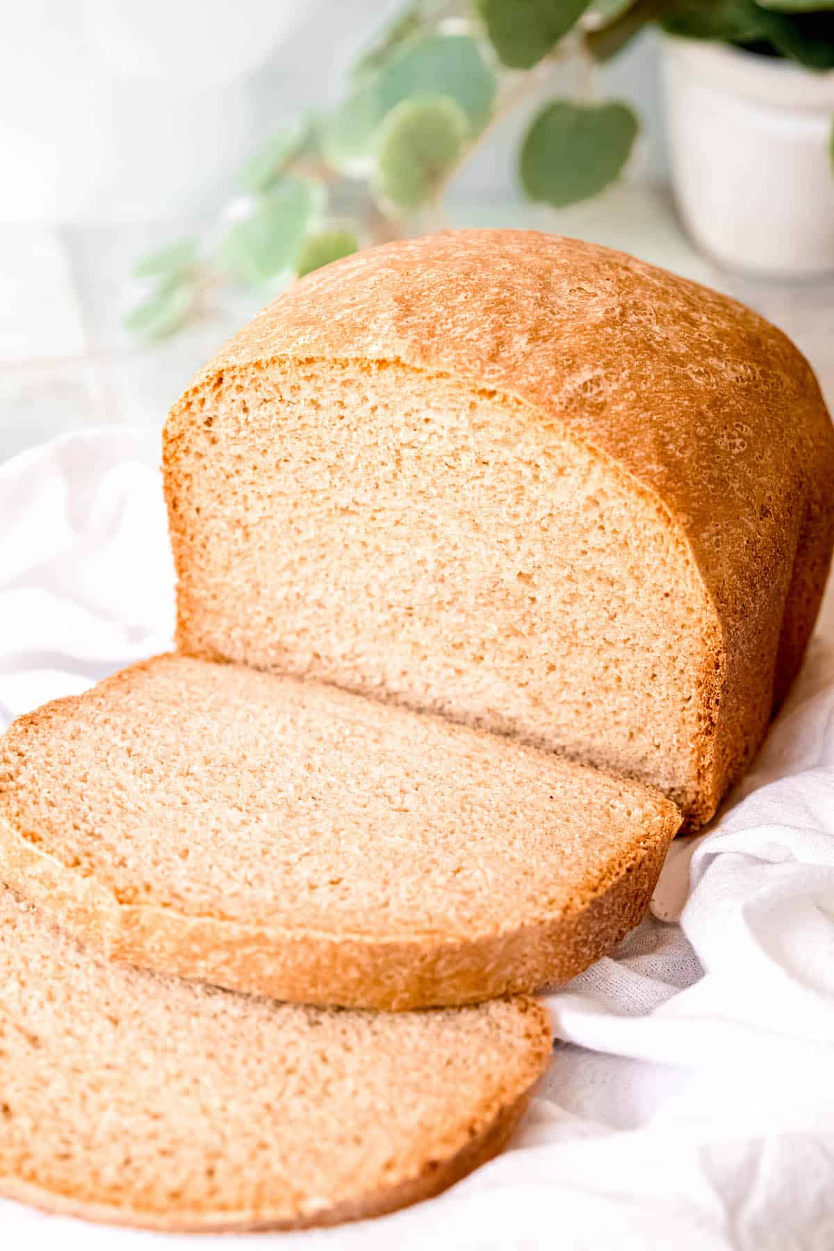 halfway sliced loaf of homemade sourdough sandwich bread from a bread maker on a white table with a green houseplant blurred out in the background. 