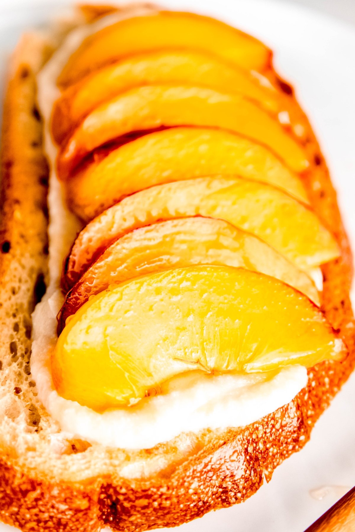 side view of fresh peach toast with ricotta and honey; the peach slices are neatly lined up in a row.