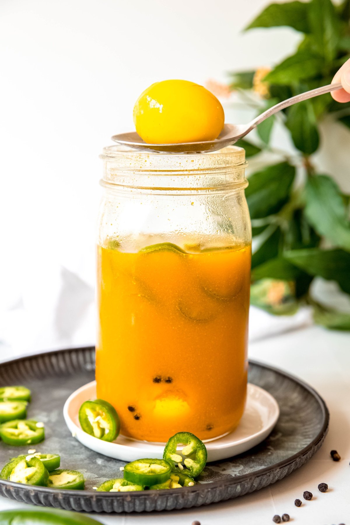 hand holding a silver spoon with a single pickled egg with jalapeno slices above the rest of the jar; its on top of a black hammered plate with fresh jalapeno slices placed atop a white table with black peppercorns scattered around, and a green houseplant blurred out in the background.