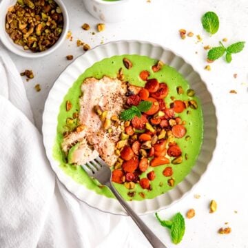 square hero image of a plated portion of one pan salmon with mint pea puree and caramelized carrot medallions.