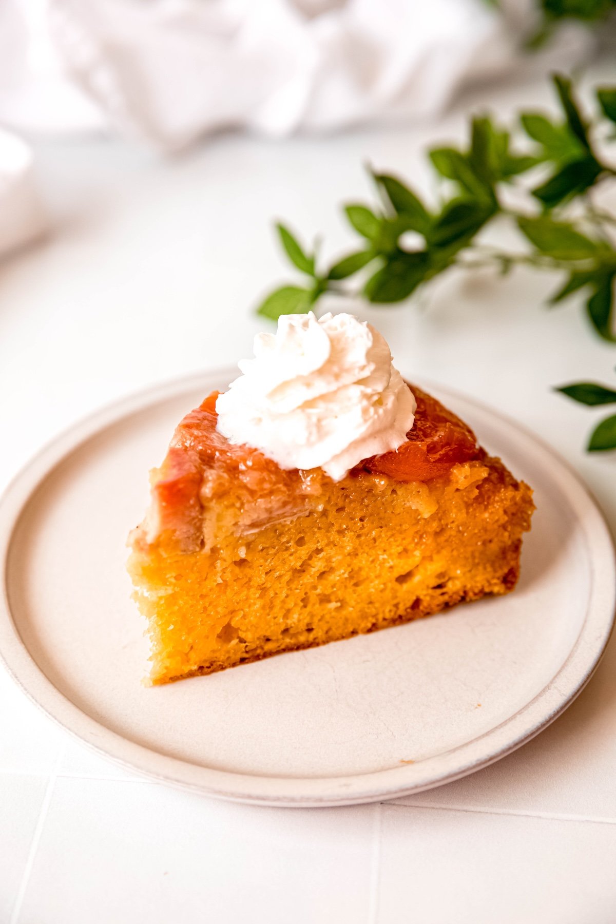 slice of upside-down apricot almond banana cake topped with whipped cream on a round white dessert plate on a white table with a green houseplant.