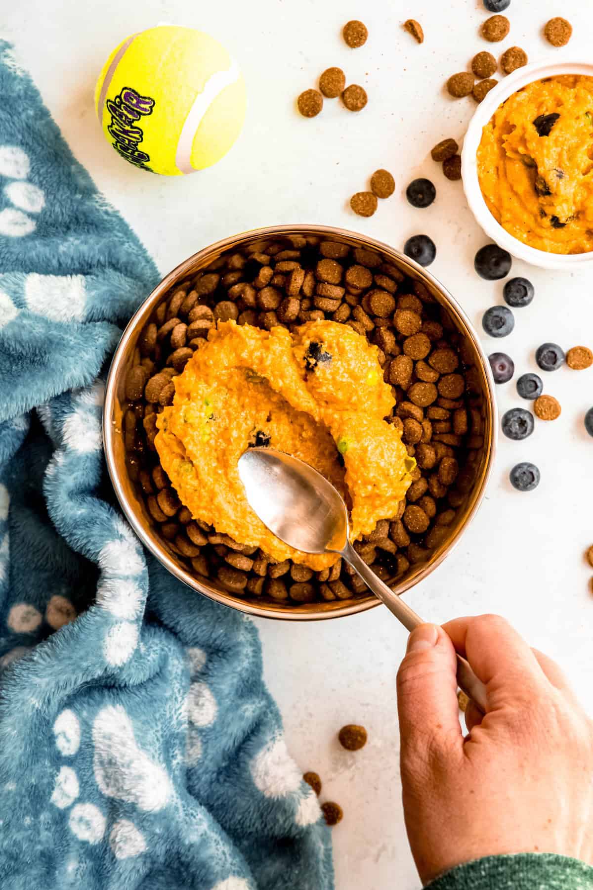 hand using a spoon to add dog food kibble topper to a dog's bowl.
