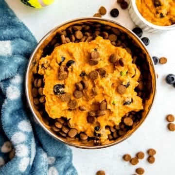 flat lay shot of a dog's bowl filled with dry kibble topped with homemade pumpkin, chicken, and rice dog food topper on a white table with a blue dog blanket, a dog's tennis ball, and blueberries and kibble scattered around.