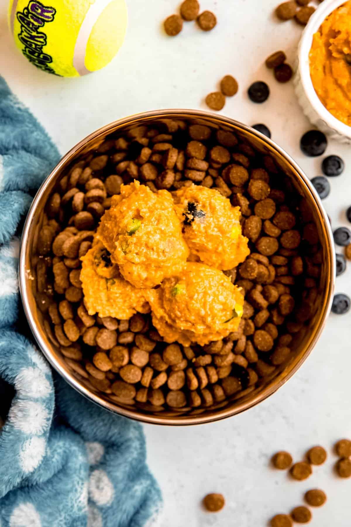 overhead shot of homemade dog food toppers made with pumpkin, chicken, rice, peas, blueberries, and spices added to a bowl of dry dog food.