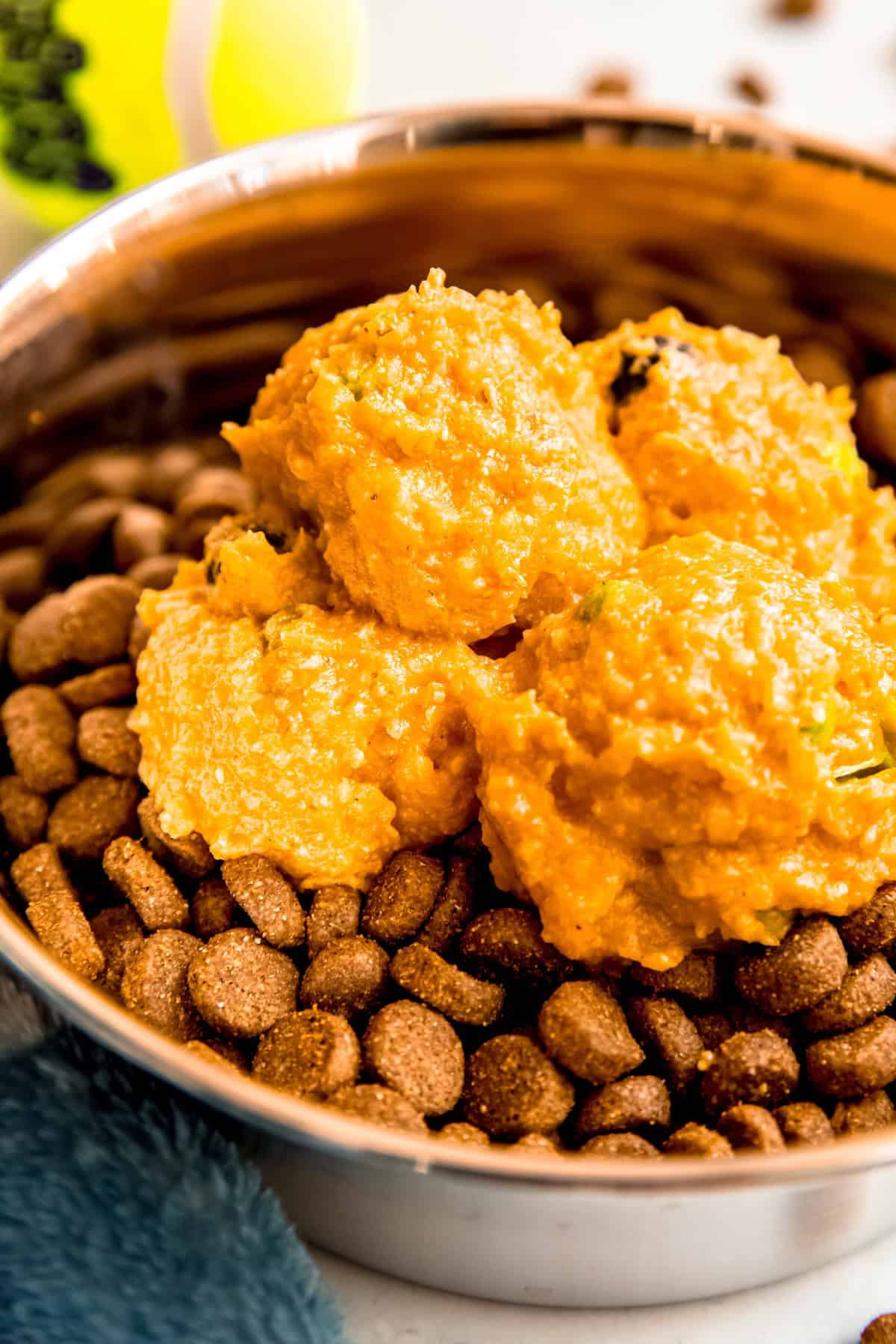 easy diy dog food topper on a bowl of dry kibble for adding extra nutrients and flavor.