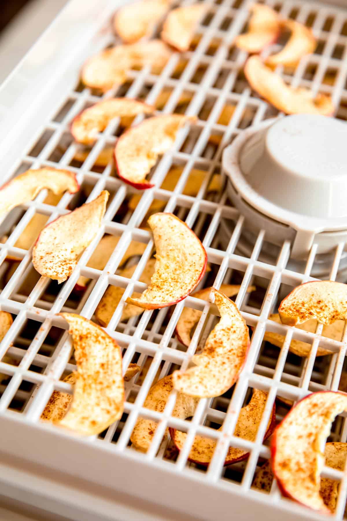 dehydrator apple chips on the dehydrator rack to dry out.