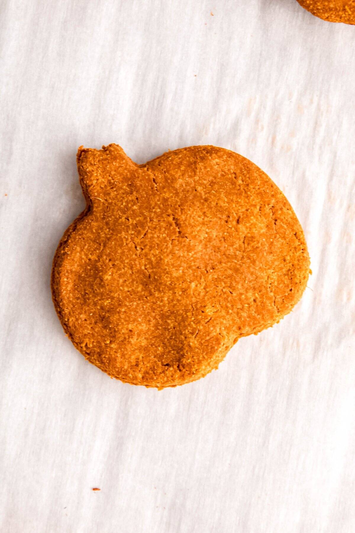 closeup overhead shot of a homemade pumpkin and peanut butter dog treat shaped like a pumpkin.