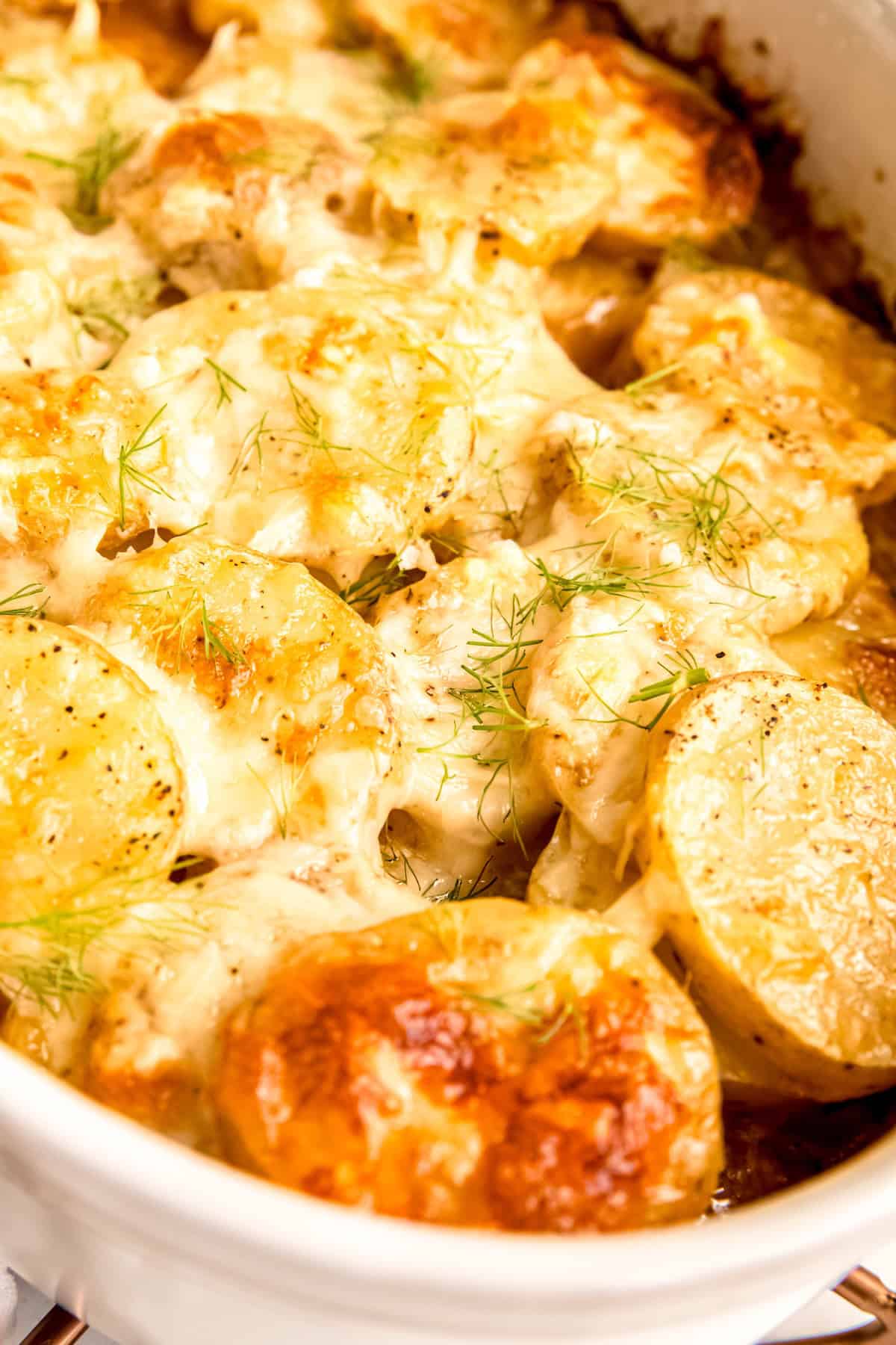 closeup 45 degree angle shot looking into a bubbling casserole dish filled with fennel and potato gratin garnished with fennel fronds.