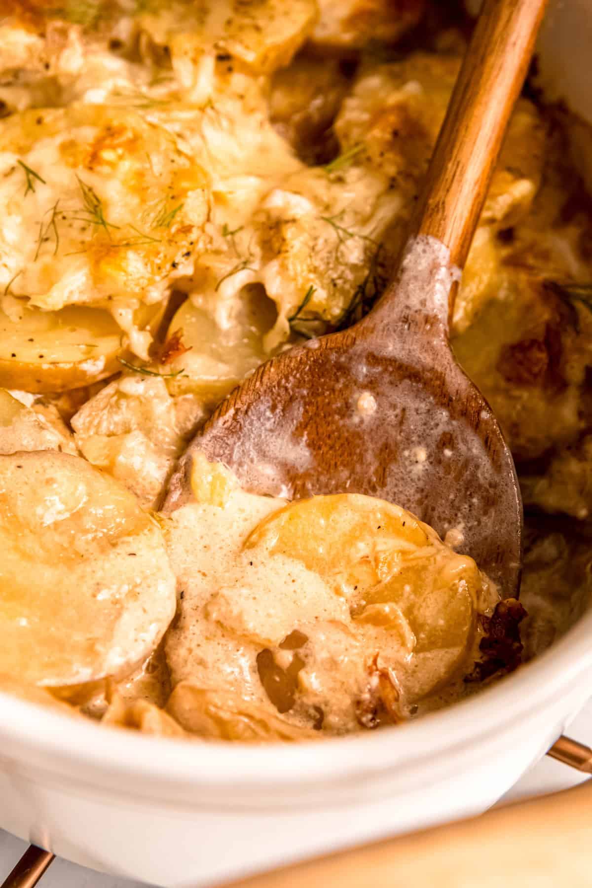 closeup shot of a wooden spoon taking a serving of gluten-free potato gratin with caramelized fennel from the casserole dish.