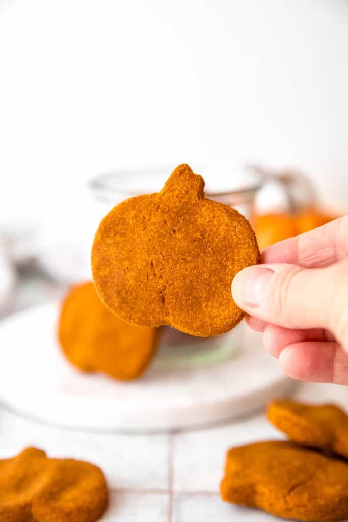 hand holding a pumpkin shaped homemade pumpkin peanut butter dog treat.