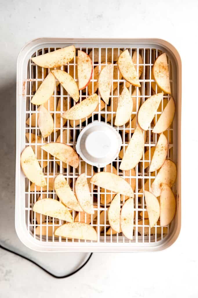 raw apple slices in a dehydrator with some cinnamon sugar sprinkled on them lightly.