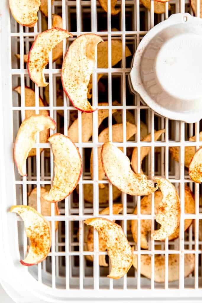 closeup shot of apple chips in a dehydrator after dehydrating; they're a bit shriveled but still have the same coloring as raw.