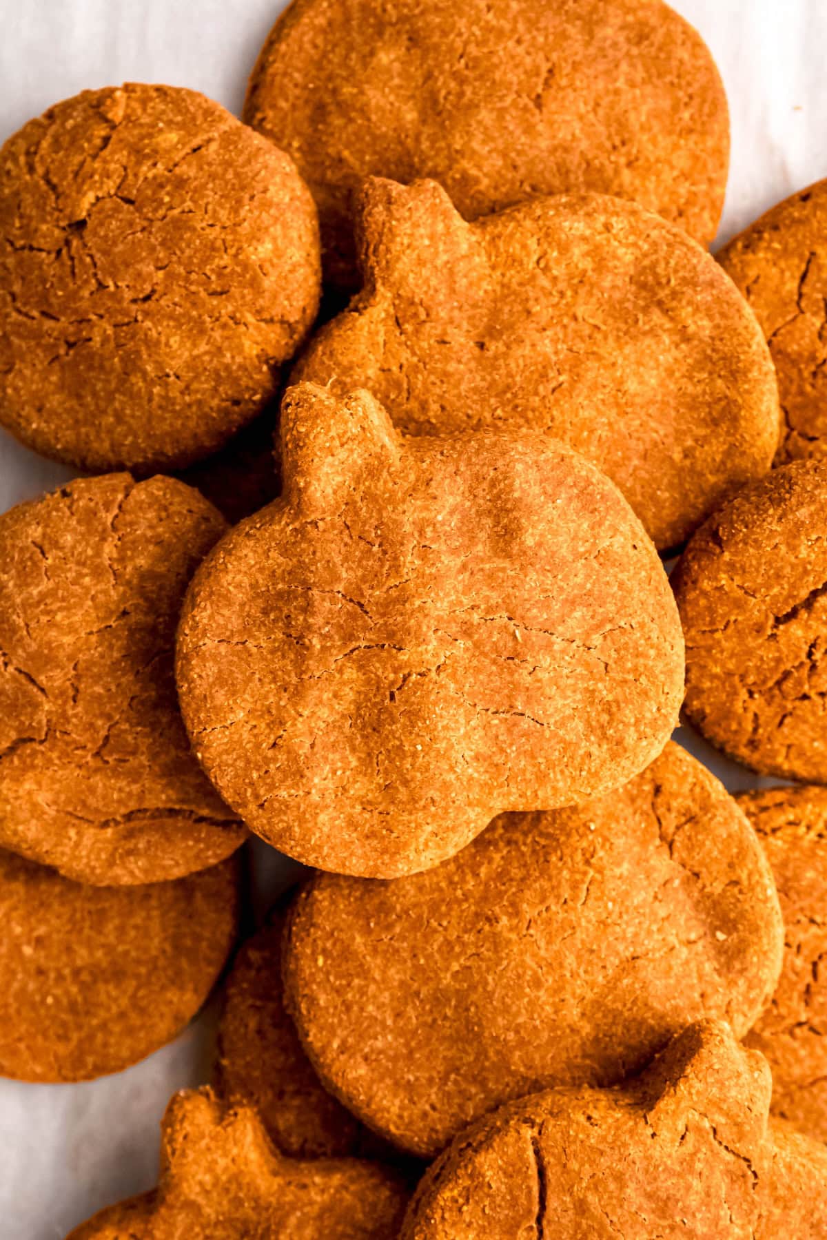 overhead closeup shot of homemade pumpkin and peanut butter dog treats in a pile; some are round and others are cut like pumpkins.