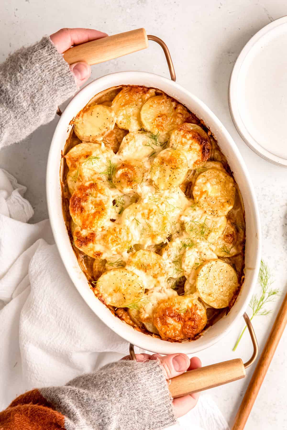 hands in a grey sweater with brown elbow patches setting down a casserole dish of potato fennel au gratin on a white table next to a stack of white plates.
