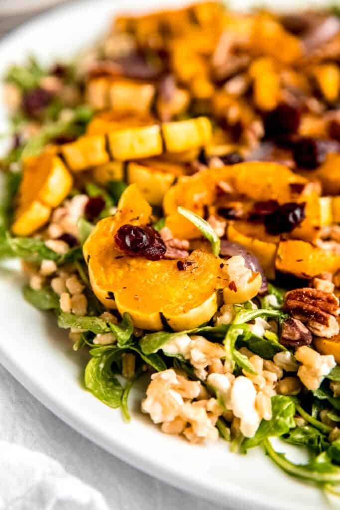 closeup shot of the corner of a serving platter of maple roasted delicata squash salad showing all the individual elements—arugula, barley, feta cheese, roasted pecans, dried cranberries, and roasted delicata squash and red onions dressed in a creamy maple dressing.