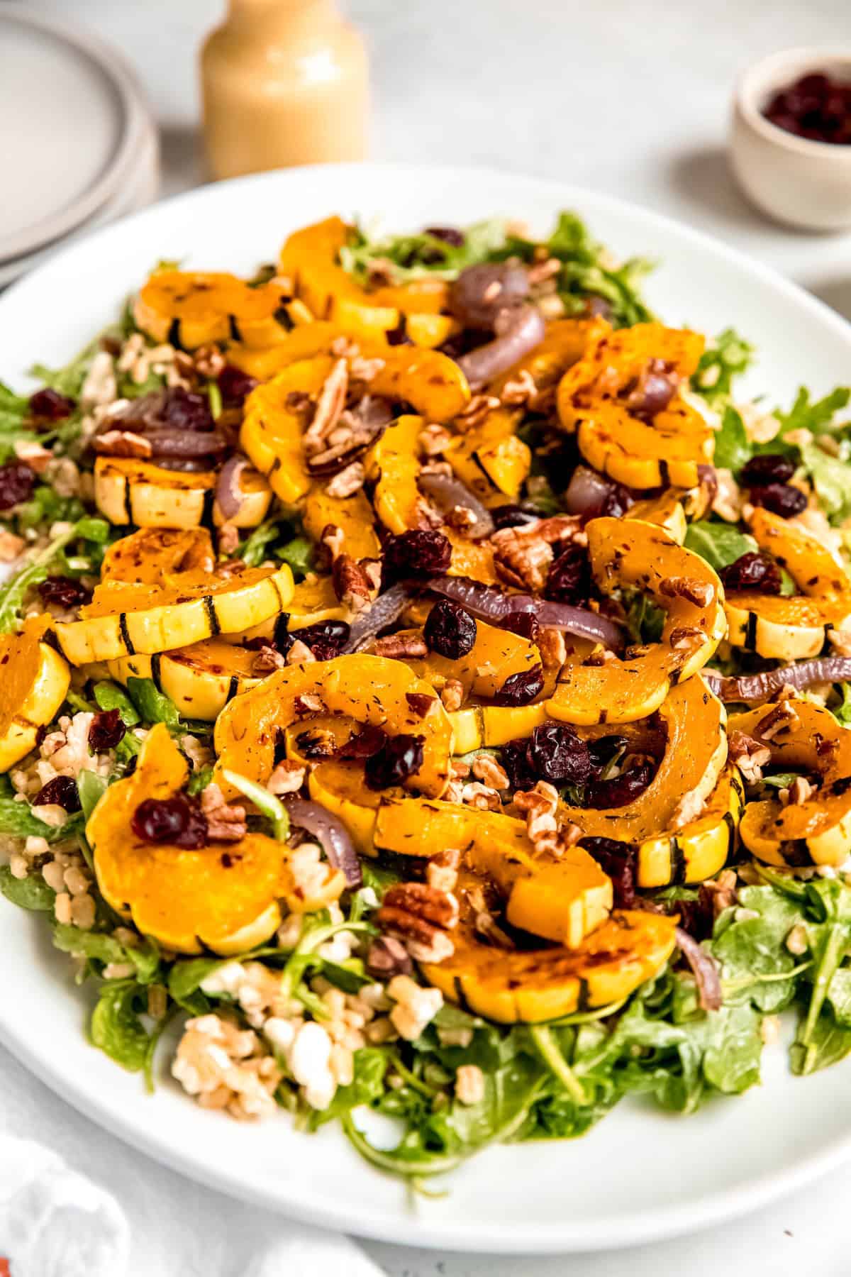 closeup 45 degree angle shot of Thanksgiving delicata squash salad on a white serving platter on a white table.