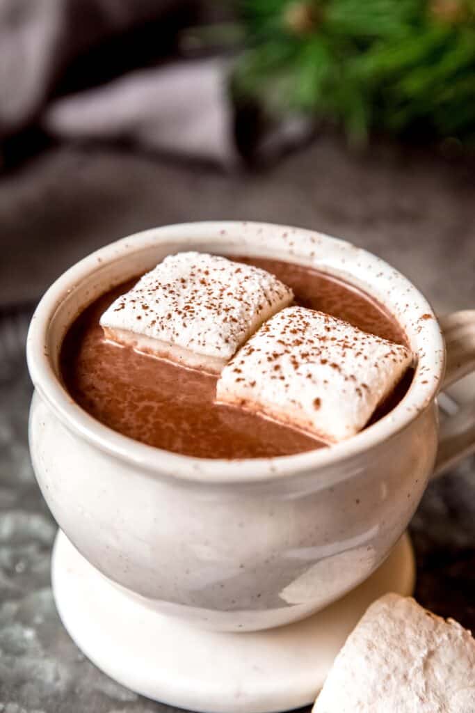 45 degree angle shot of Aztec xocolatl hot chocolate in a white mug topped with marshmallows and chili powder.