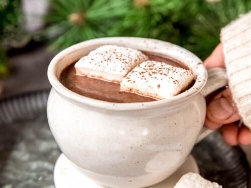 Easy Homemade Spicy Aztec Hot Chocolate (Xocolatl) | Confessions