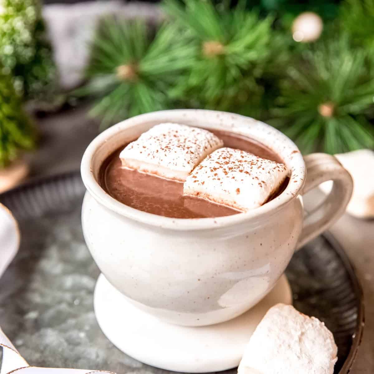Easy Homemade Spicy Aztec Hot Chocolate (Xocolatl) | Confessions