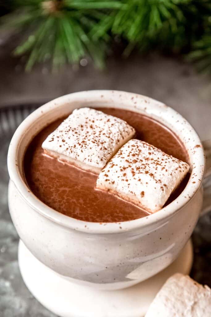 closeup shot of spicy aztec-style hot cocoa with marshmallows and chili powder as garnish.
