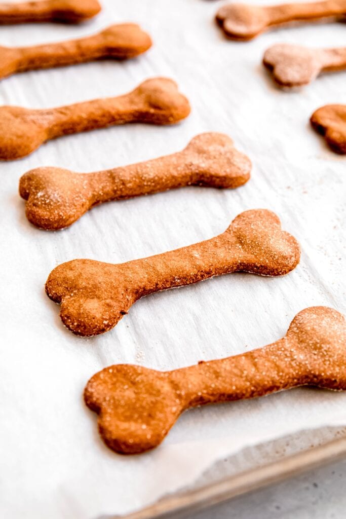 tray of homemade peanut butter banana dog treats after baking until golden brown on a parchment lined sheet.