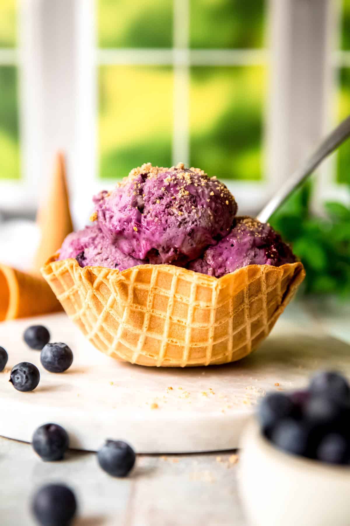 waffle cone bowl with three scoops of blueberry ice cream with a sprinkle of extra graham cracker crumbles on top.