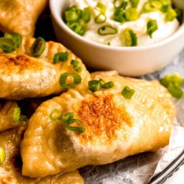 closeup shot of a pan fried potato cheddar cheese pierogi showing the gorgeous golden brown fry spot and the glistening, buttery dough.